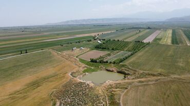 Сельхоз предприятия: 550 соток, Действующий, С оборудованием, Электричество — 4