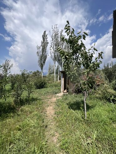 Продажа домов: Дом, 40 м², 2 комнаты, Риэлтор, Косметический ремонт — 9