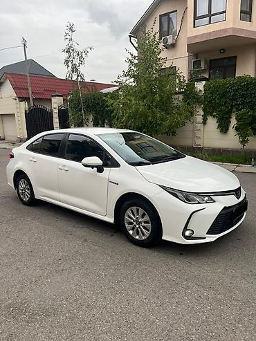 levin corolla: Toyota Corolla: 2021 г., 1.8 л, Вариатор, Гибрид, Седан — 4