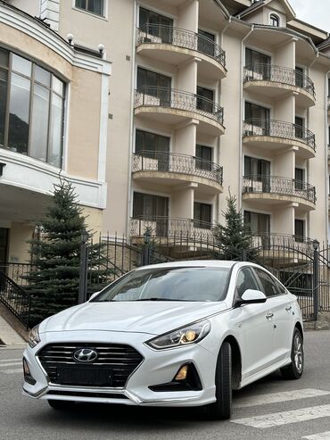 не таксованная: Hyundai Sonata: 2019 г., 2 л, Типтроник, Газ, Седан