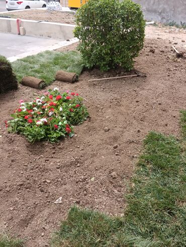 Toxumlar: Kefietli qazon
jefietli iş
kefietli torf
bizdedir — 9