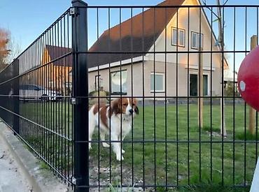 Proizvodi od rolovanog metala, metalni kanali: Panel 2d 083x250 6/5/6 mm cink+pvc akcija. Panelne ograde Panel 2d — 3