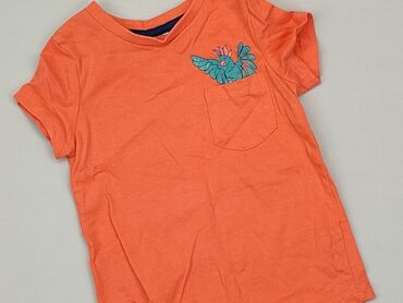 pomarańczowa koszulka dla dziewczynki: Koszulka, So cute, 9-12 m, stan - Dobry