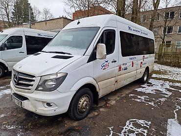 vip bus: Mercedes-Benz Спринтер: 2008 г. — 1