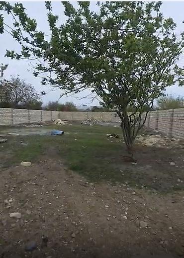 yeni emlak kiraye: 9 sot, Tikinti, Mülkiyyətçi, Kupça (Çıxarış) — 5