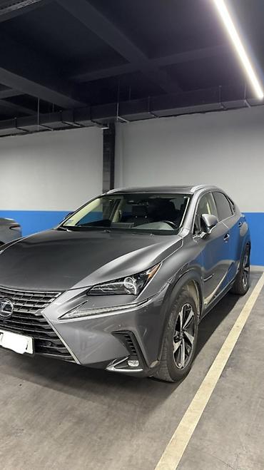 byd e3: Lexus NX: 2020 г., Гибрид, Кроссовер — 9
