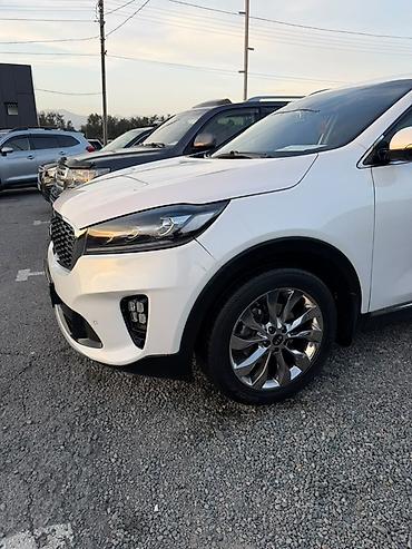 под спада боковой дверь: Kia Sorento: 2018 г., 2.2 л, Автомат, Дизель, Внедорожник — 7