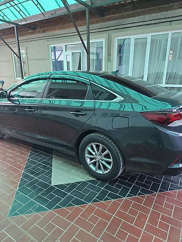 outback wilderness: Hyundai Sonata: 2018 г., 2 л, Автомат, Газ, Седан — 5
