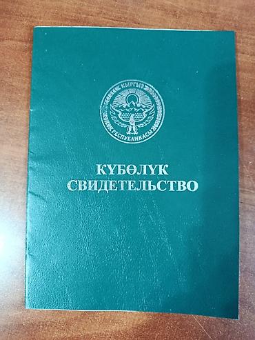 56: 120 соток, Для сельского хозяйства, Договор купли-продажи — 9