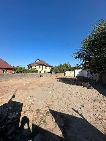 Жер тилкелери: 4 соток, Курулуш, Кызыл китеп — 2