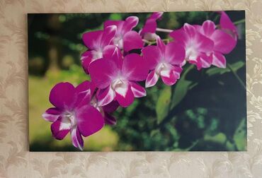 Картины и фотографии: Размер 90*140 см. Картина на стену. Орхидея. В отл.сост. Бишкек