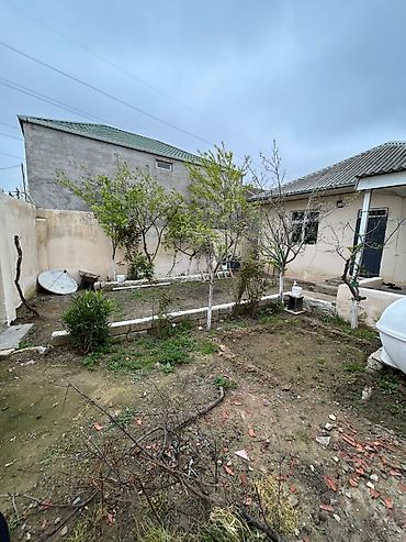 Həyət evləri və villalar: 2 otaqlı, 1 kv. m, Kredit yoxdur, Yeni təmirli — 6