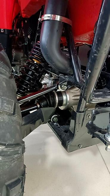 Квадроциклы: Квадроцикл Бензин, 500 куб. см, Взрослый — 4