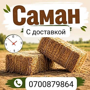 суу химия: Саман с доставкой. - Прессованные тюки из соломы/глины для — 1