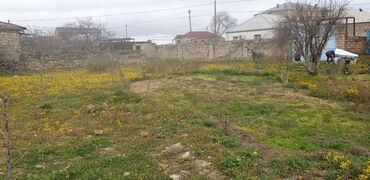 Torpaq sahələrinin satışı: 34 sot, Tikinti, Mülkiyyətçi, Kupça (Çıxarış) -da lalafo.az — 23 Torpaq sahələrinin satışı: 34 sot, Tikinti, Mülkiyyətçi, Kupça (Çıxarış) — 23