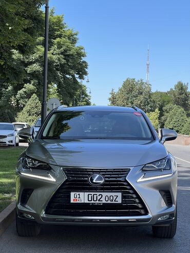 Lexus: Lexus NX: 2019 г., 2.5 л, Вариатор, Гибрид, Внедорожник
