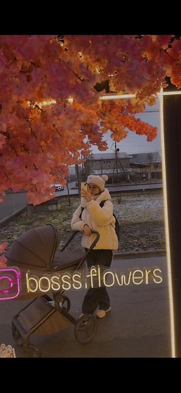 Коляски: Коляска «Anex flo»
Цвет кофе/коричневый — 20