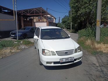 цвета офисной мебели: Toyota Gaia: 1999 г., 2 л, Автомат, Газ, Минивэн