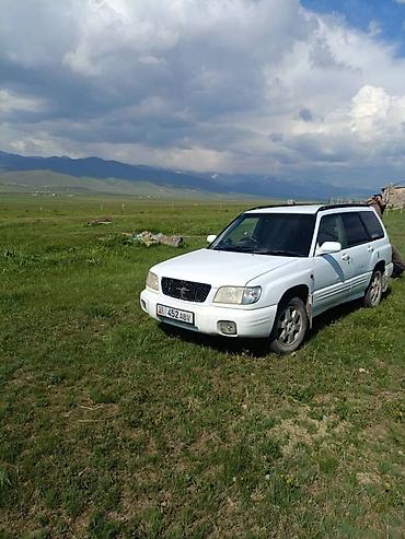 cd 70: Subaru Forester: 2000 г., 2 л, Автомат, Бензин, Универсал — 5