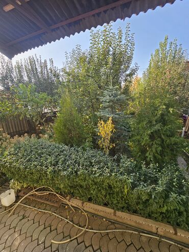 Продажа домов: Дача, 110 м², 4 комнаты, Собственник — 19