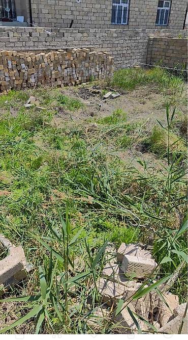 naxcvan: 2 sot, Tikinti, Mülkiyyətçi, Kupça (Çıxarış) — 4