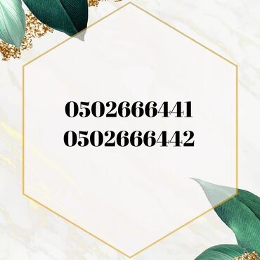 внешний жесткий диск баку: Номер: ( 050 ) ( 2666441 ), Новый