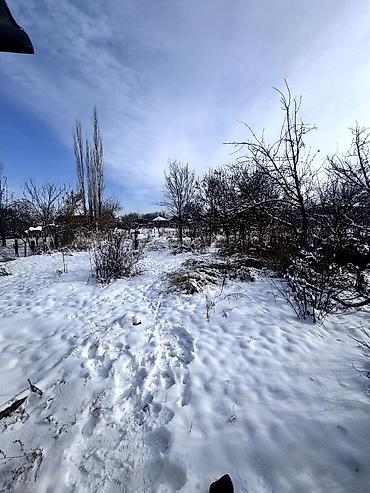 Продажа коттеджей и домов: 📌В Романовке 500м от трассы продается дом с большим участком. ✅Размер — 3