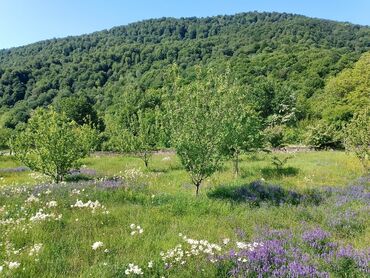 Продается дом с участком . Все вопросы в личные сообщения.Ismailli