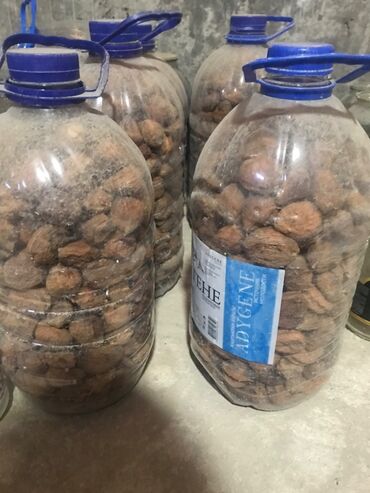 сколько стоит грецкий орех в кыргызстане: Кураги