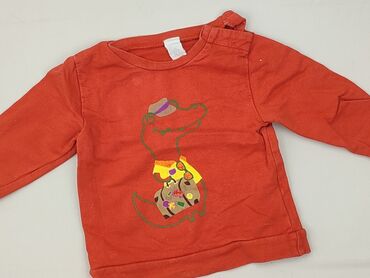 bluza z rękawiczkami: Bluza, 9-12 miesięcy, stan - Bardzo dobry