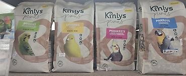 mačka prodaja: Kinlys Primus i Benelux/Pany Pets – hrana i oprema za male životinje i — 2