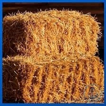 уй сатылат кара балта: Продаю солому 
Пшеничная
500 тюков