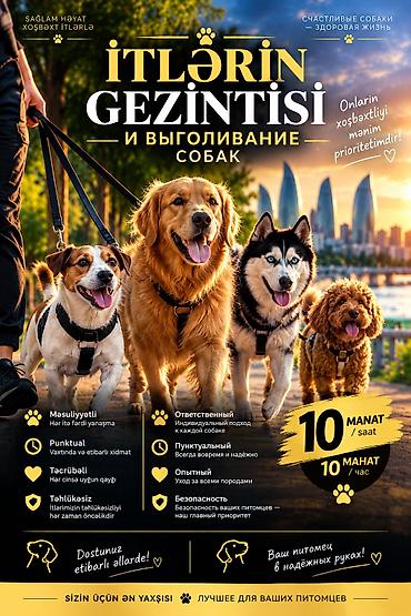 lələkli heyvanlar: 🐾 İTLƏRİN GƏZDİRİLMƏSİ Ev heyvanınızı gəzdirməyə hər zaman vaxtınız — 1