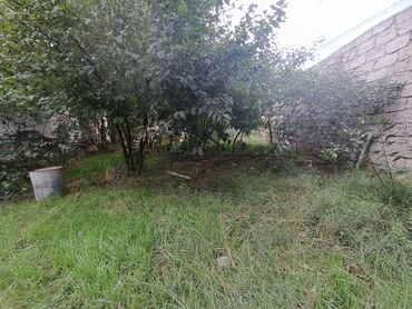 Torpaq sahələrinin satışı: 2 sot, Biznes üçün, Mülkiyyətçi — 4