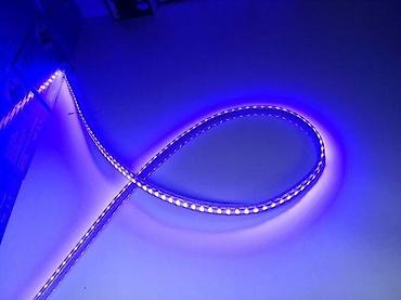 murano lusteri: Led traka 220V IP68 vodootporna plava crvena zelena bela . Namena za — 1