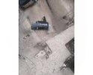 Glave motora: NOSACI MOTOR 1.6 ZA FORD C-MAX, FIESTA, FOCUS . OD 2002. DO 2017 — 23
