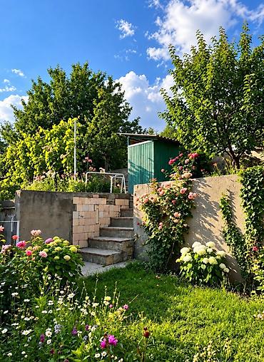 дача земледелец: 3 комнаты, 40 м², 5 соток, Электричество, Холодная вода — 8