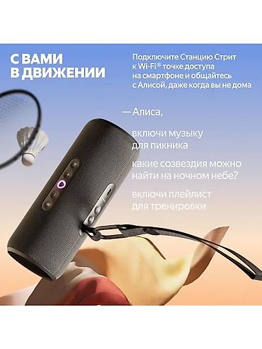 Динамики и колонки: Яндекс Станция Стрит — умная портативная колонка с голосовым — 7