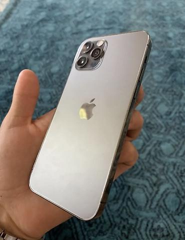 айфон 12 промах: IPhone (линейка Pro), цвет серебристый/серый, корпус со строгими — 3