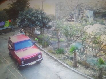 VAZ (LADA): VAZ (LADA) 4x4 Niva: 1.6 l | 1989 il Ofrouder/SUV