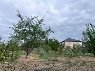 Torpaq sahələrinin satışı: 15 sot, Tikinti, Mülkiyyətçi, Kupça (Çıxarış) -da lalafo.az — 3 Torpaq sahələrinin satışı: 15 sot, Tikinti, Mülkiyyətçi, Kupça (Çıxarış) — 3