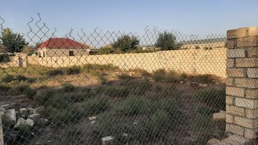 Torpaq sahələrinin satışı: 11 sot, Tikinti, Mülkiyyətçi, Kupça (Çıxarış) — 3