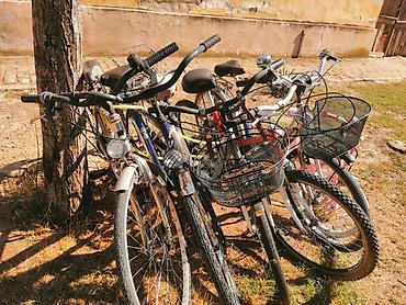 torbe b: Gradski bicikli – više komada - Tip: klasični gradski/treking bicikli — 3