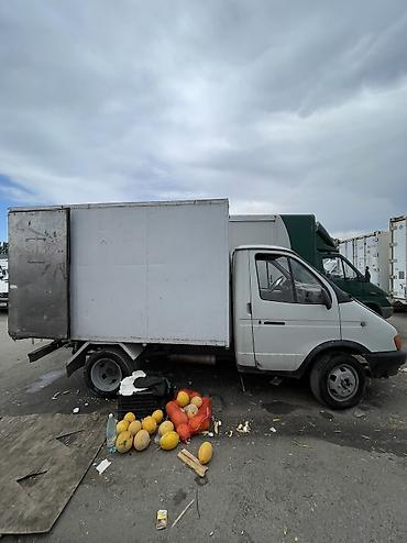 жугули 06: ГАЗ 3102 Volga: 1999 г., 2.4 л, Кол менен иштөөчү, Бензин — 2