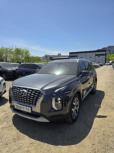 range over: Hyundai Palisade: 2021 г., Автомат, Дизель — 1