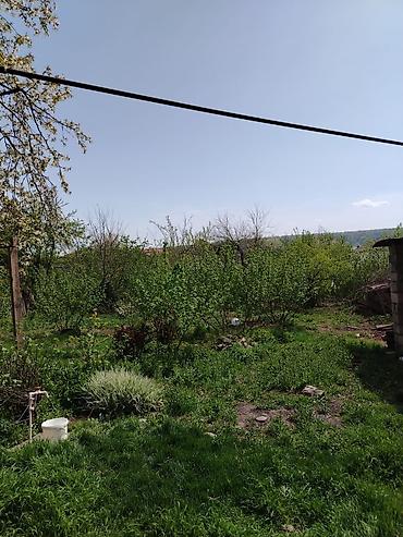 Torpaq sahələrinin satışı: 10 sot, Mülkiyyətçi — 8