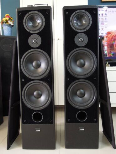 Zvučnici i stereo sistemi: Canton Ergo SC-L + Control unit Kao novi, ispravni zvučnici više — 1