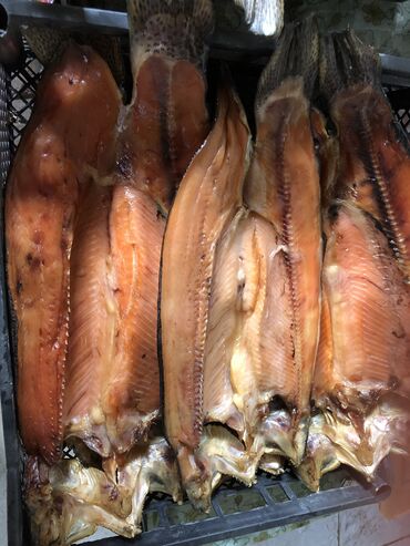 свежий рыба: Свеже копчения Фарель 1 кг - 800 сом