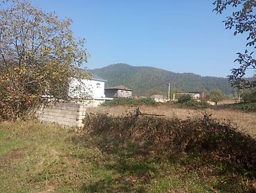 купить участок в вишневке баку: 5 соток, Для строительства, Собственник, Купчая — 6