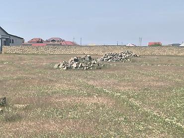 şirket: 24 sot, Tikinti, Mülkiyyətçi, Bələdiyyə — 6